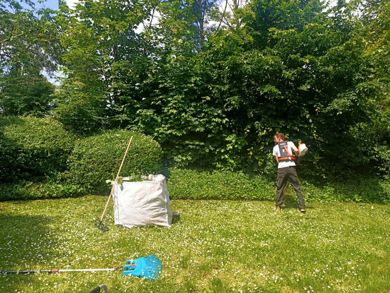 Gartenprojekt 1