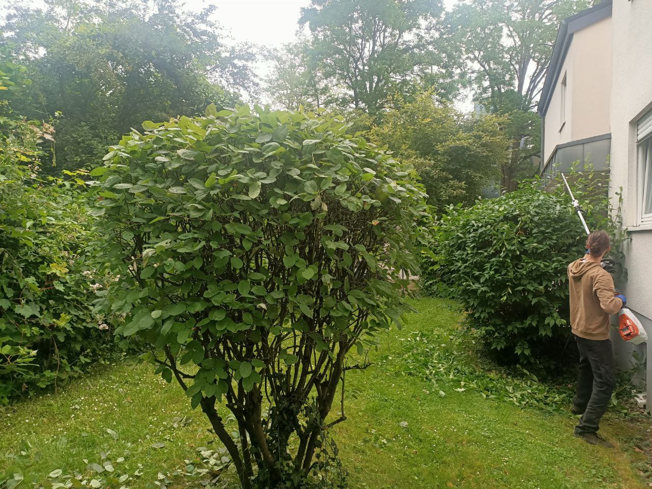 Gartenprojekt 4